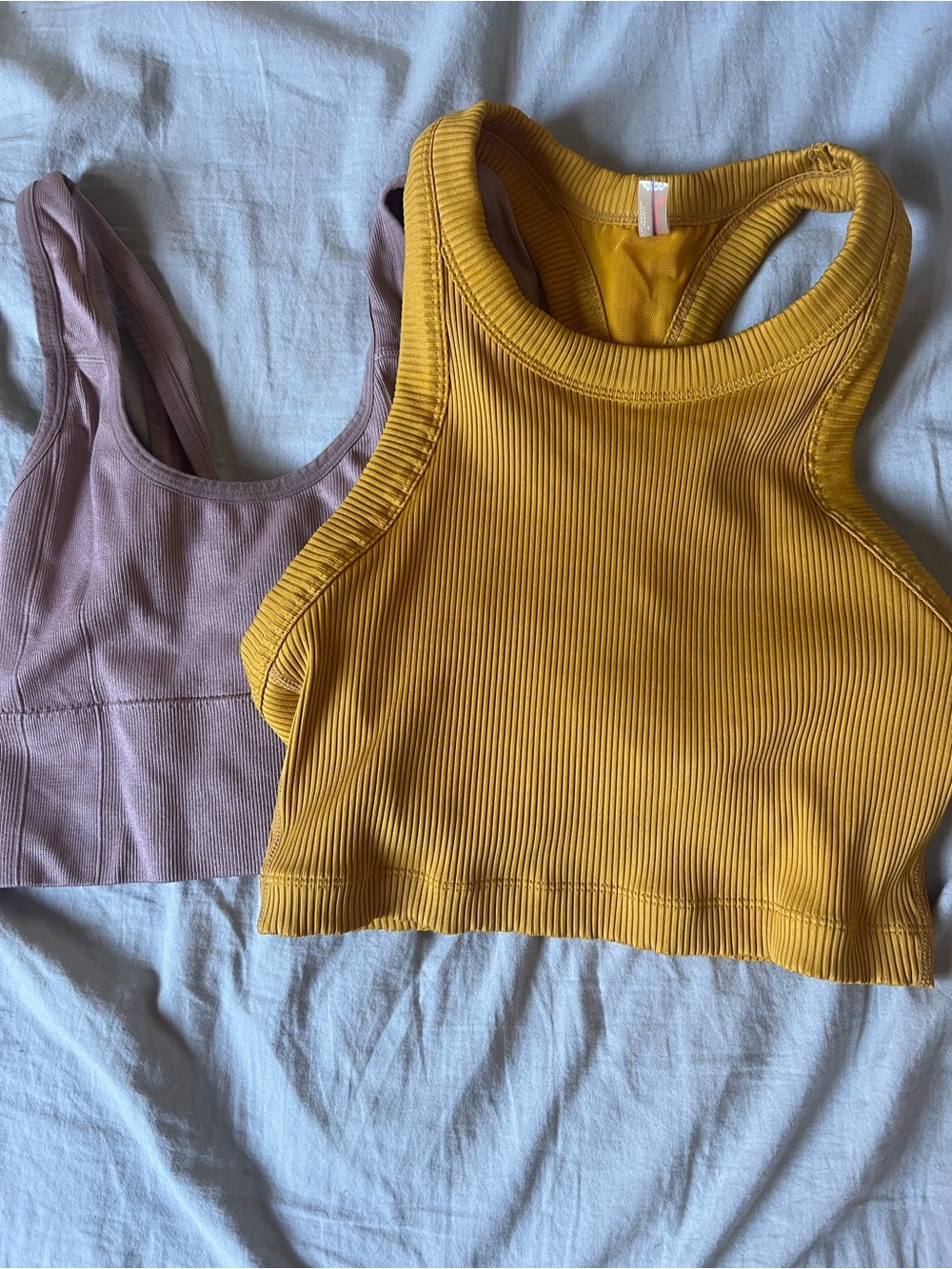 Lot of 2 sports bras tank tops